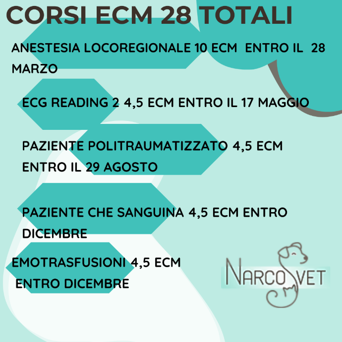 ECM 2025 Promo Marzo 28 ECM