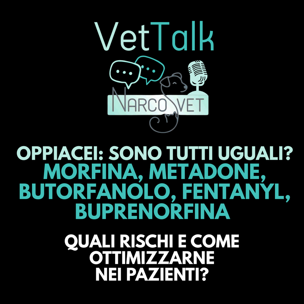Podcast | Oppiacei: sono tutti uguali? Morfina, Metadone, Butorfanolo, Fentanyl, Buprenorfina