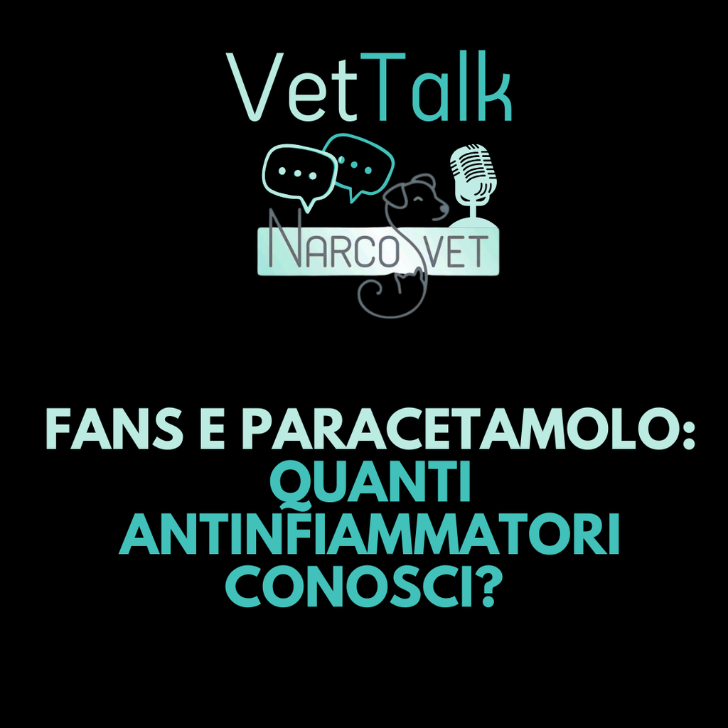 Podcast | Fans e Paracetamolo: quanti antinfiammatori conosci?