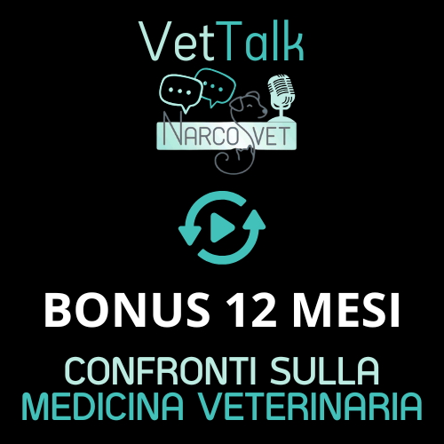 🎧BONUS PODCAST