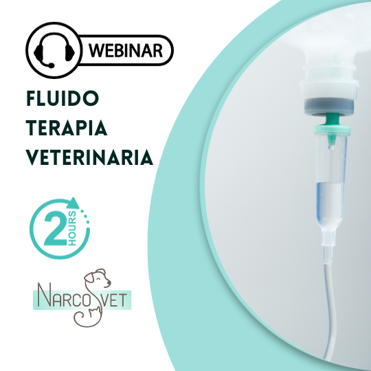 OD Fluidoterapia