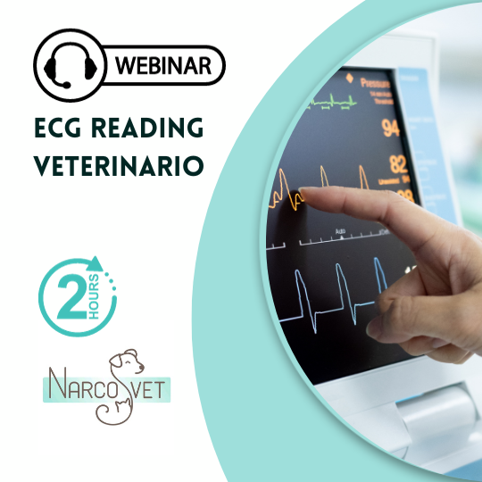 OD ECG Reading e anestesia