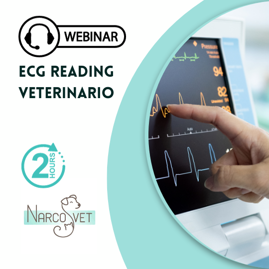 WEBINAR Ecg Reading Veterinario