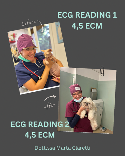 4,5 ECM ECG READING 2