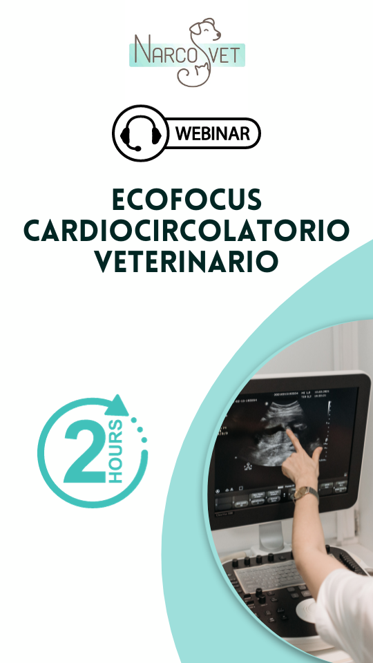 WEBINAR Ecofocus Cardiocircolatorio Veterinario