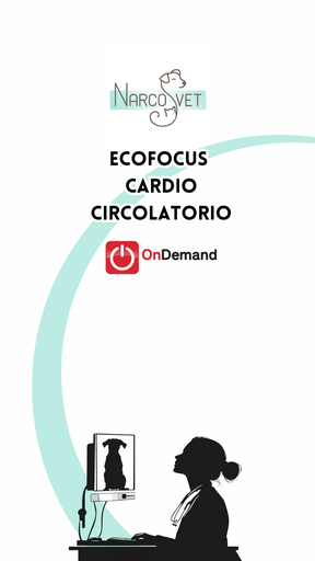 OD Ecofocus Cardiocircolatorio