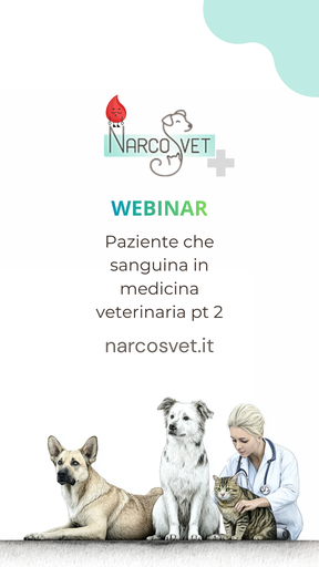 OD | Paziente che sanguina in medicina veterinaria pt 2
