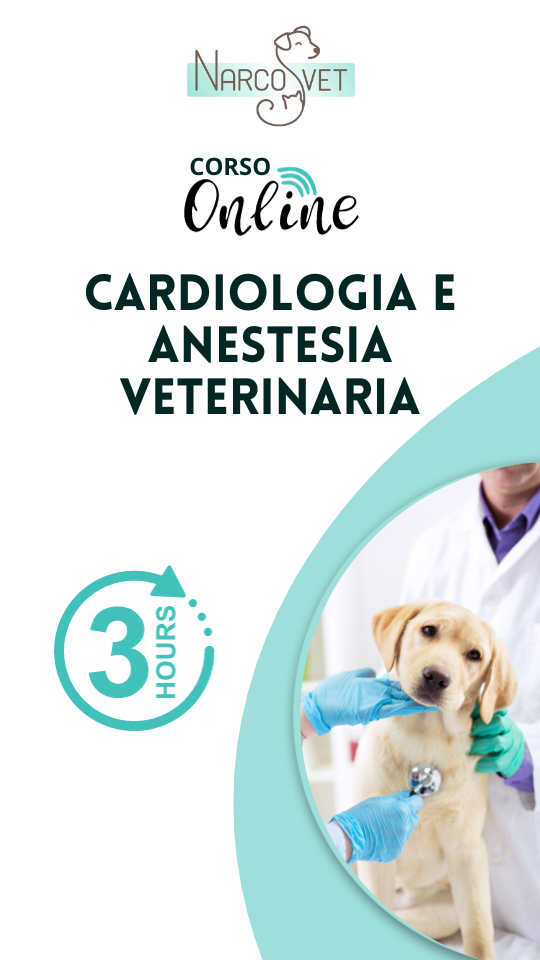 Corso Online Cardiologia e Anestesia Veterinaria