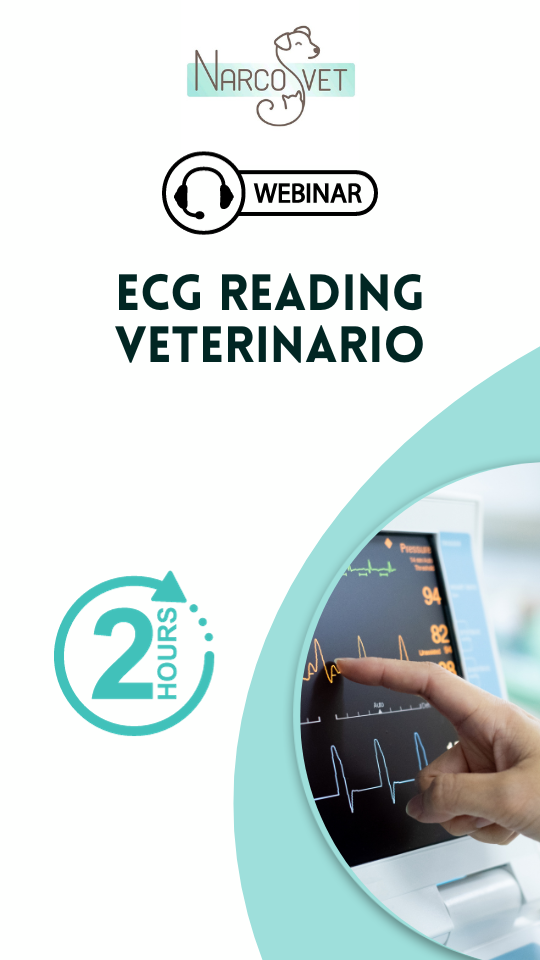 WEBINAR Ecg Reading Veterinario GRATIS